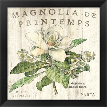 Framed Magnolia de Printemps Print