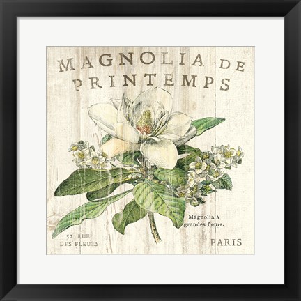 Framed Magnolia de Printemps Print