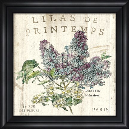 Framed Lilas de Printemps Print