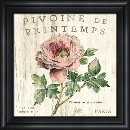 Framed Pivoine de Printemps Print