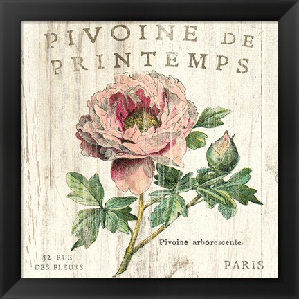 Framed Pivoine de Printemps Print