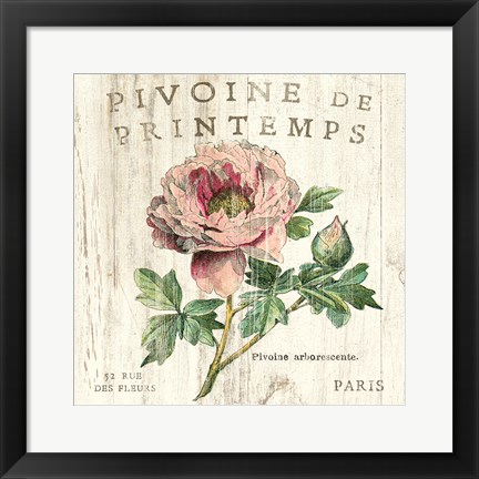 Framed Pivoine de Printemps Print