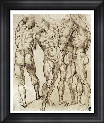 Framed Nude Studies Print