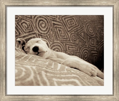 Framed Dog Tired Print