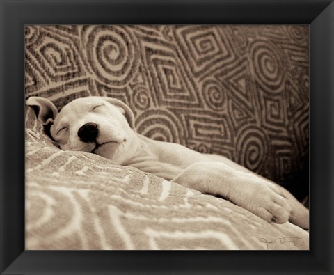 Framed Dog Tired Print