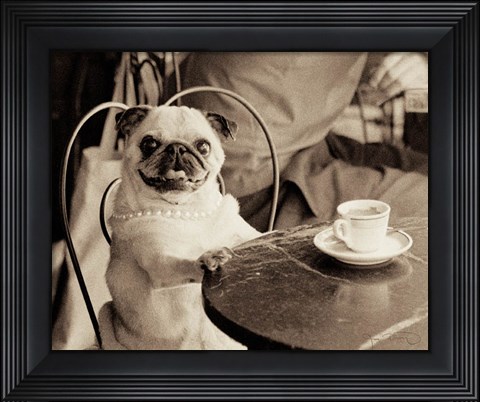 Framed Cafe Pug Print