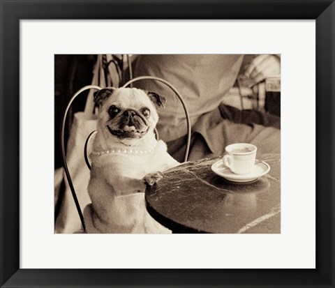 Framed Cafe Pug Print