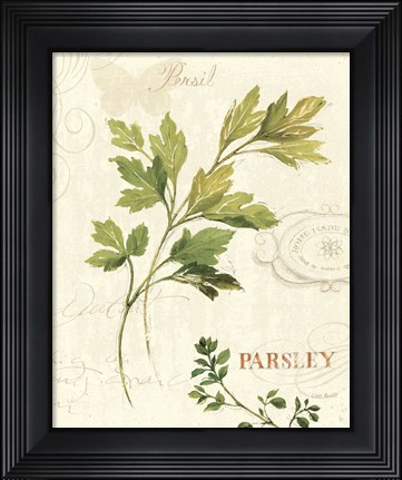Framed Aromatique I Print