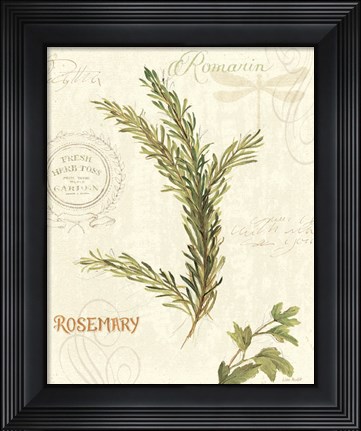 Framed Aromatique II Print