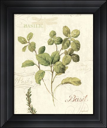 Framed Aromatique III Print
