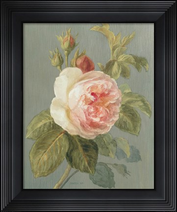 Framed Heirloom Pink Rose Print