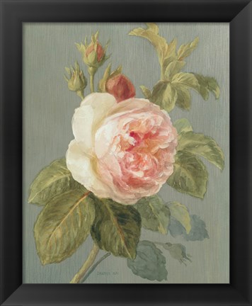 Framed Heirloom Pink Rose Print