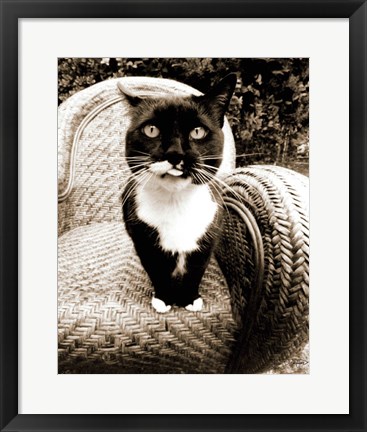 Framed Kitty I Print