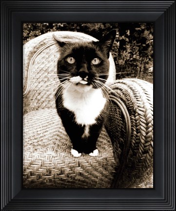 Framed Kitty I Print