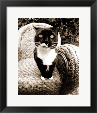 Framed Kitty I Print