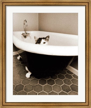 Framed Kitty III Print