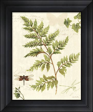 Framed Ivies and Ferns I Print