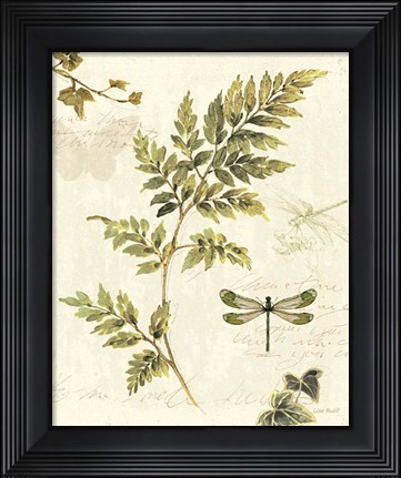 Framed Ivies and Ferns III Print