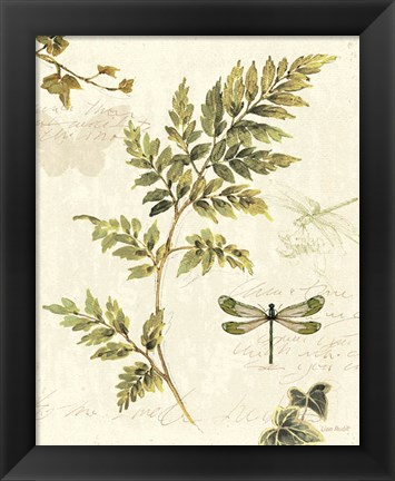 Framed Ivies and Ferns III Print