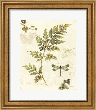 Framed Ivies and Ferns III Print