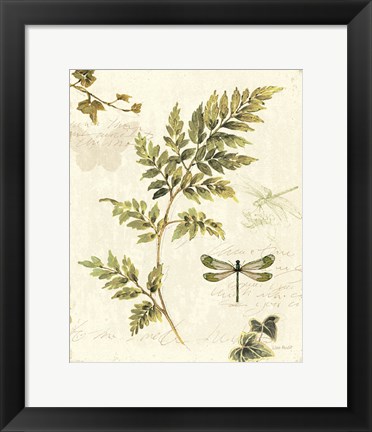 Framed Ivies and Ferns III Print