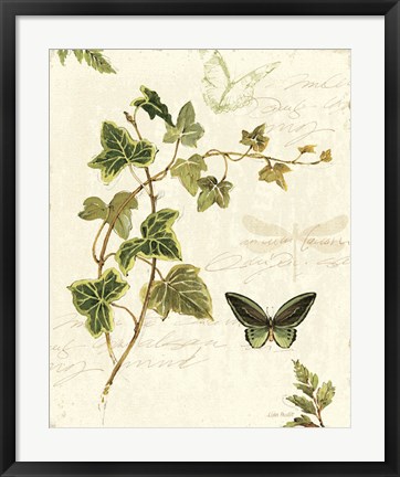 Framed Ivies and Ferns IV Print