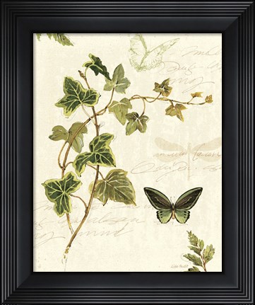 Framed Ivies and Ferns IV Print