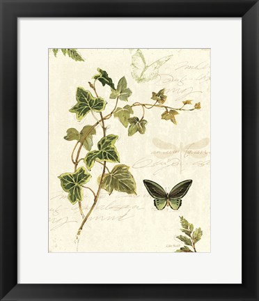 Framed Ivies and Ferns IV Print