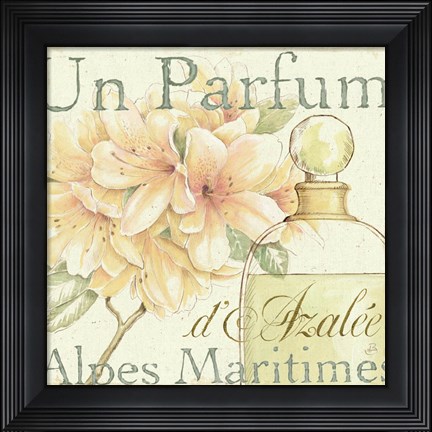 Framed Fleurs and Parfum III Print