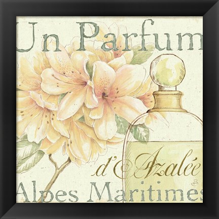 Framed Fleurs and Parfum III Print