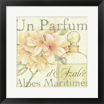 Framed Fleurs and Parfum III Print