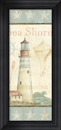 Framed Coastal Shells I Print
