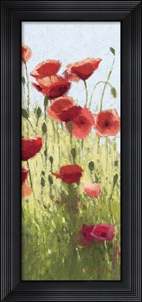 Framed Mountain Poppies I Print