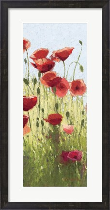 Framed Mountain Poppies I Print