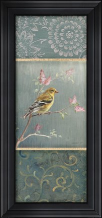 Framed Female Goldfinch Print
