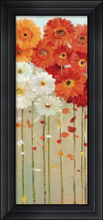Framed Daisies Fall II Print