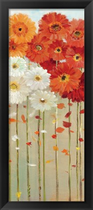 Framed Daisies Fall II Print