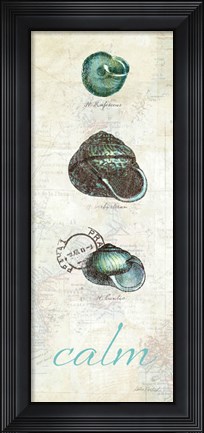 Framed Touch of Blue Shells II Print