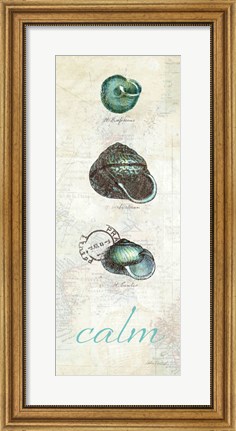 Framed Touch of Blue Shells II Print