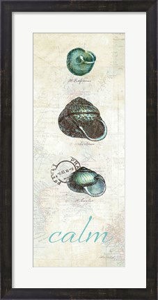 Framed Touch of Blue Shells II Print