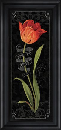 Framed Tulipa Botanica II Print