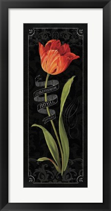 Framed Tulipa Botanica II Print