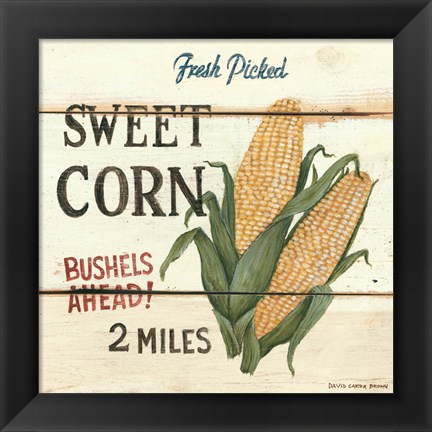 Framed Fresh Picked Sweet Corn Print