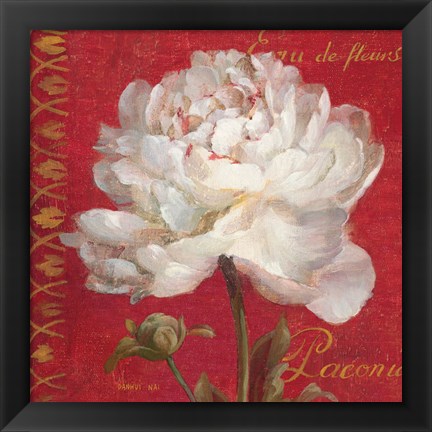Framed Paris Blossom IV Print