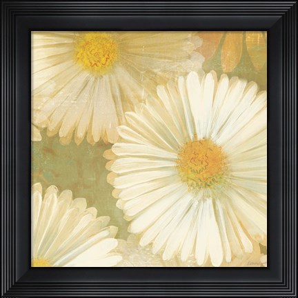 Framed Daisy Story Square I Print