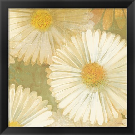 Framed Daisy Story Square I Print