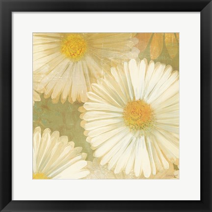 Framed Daisy Story Square I Print