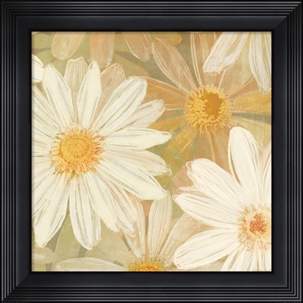 Framed Daisy Story Square II Print