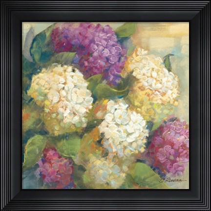 Framed Hydrangea Delight II Print