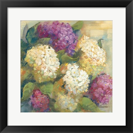 Framed Hydrangea Delight II Print